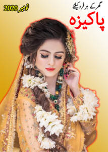 Pakeeza Digest November 2020 Free Urdu Digest