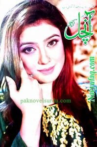 Aanchal Digest December 2020 Free Urdu Digest
